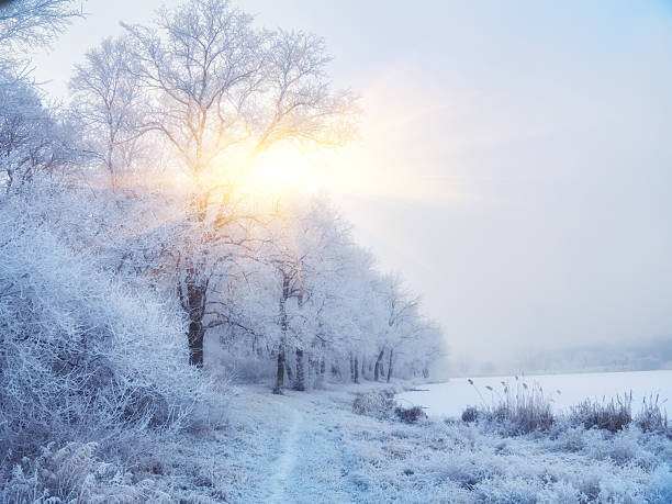 istock frozen lake on sunny winter's day with blue sky 2238555054