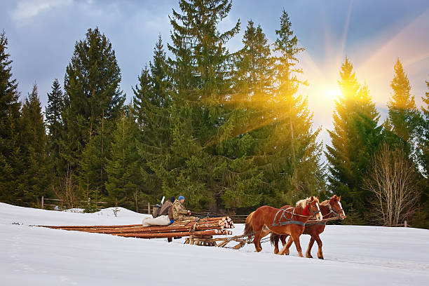 istock horses running on the winter road 2238555059