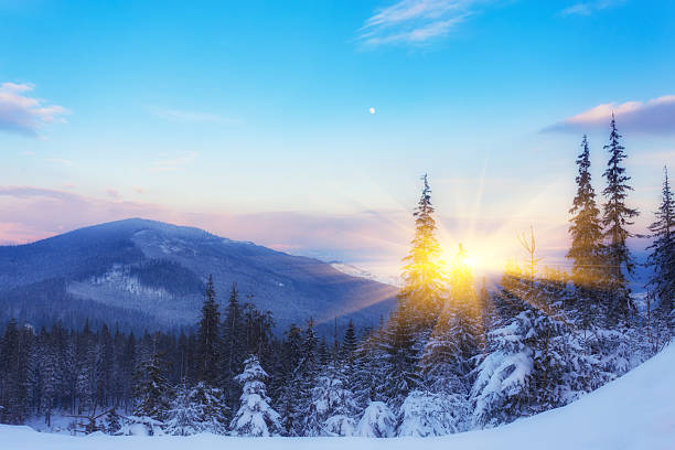 istock Beautiful winter landscape in mountains 2238555072