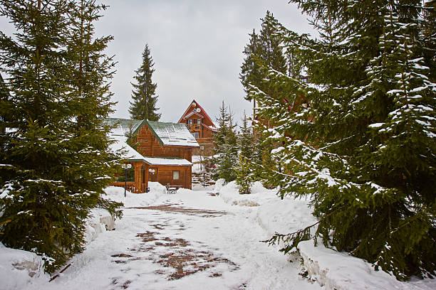 istock wonderful winter scenery with snow and timber home 2238555090
