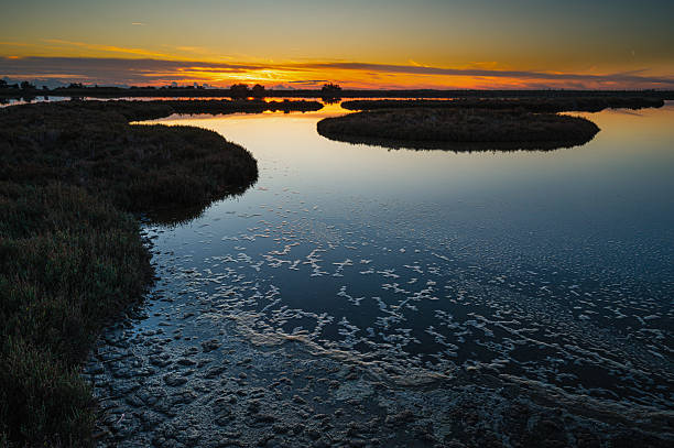istock sunset over the lagoon, Po river delta, Comacchio, Ferrara, Italy 2238555930