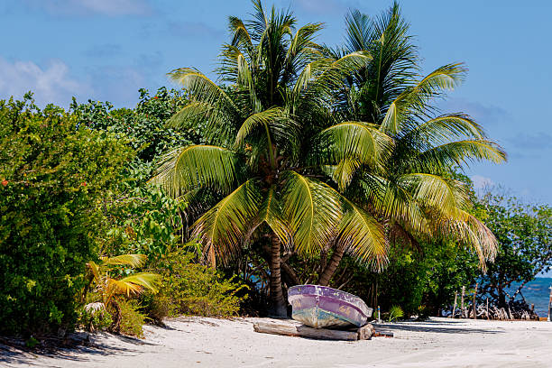 istock Boat on the beach at Caye Caulker 2238557059