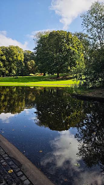 istock Sunny park landscape with large trees and their reflection in a still pond under a blue sky. 2238560676