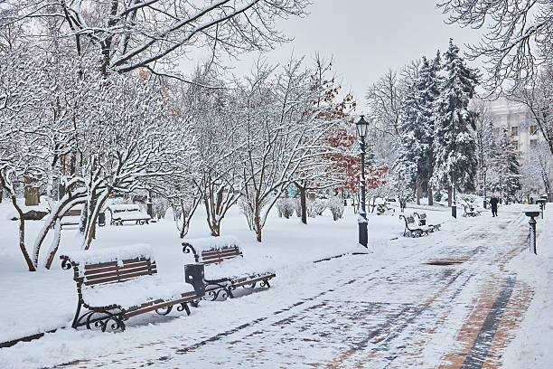 istock Snow-covered trees and benches in the city park. 2238564262