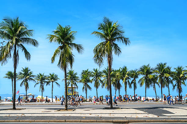 Vibrant beachside promenade in Rio de Janeiro, Brazil, lined with tall palm trees and a lively crowd. Families, cyclists, and walkers enjoy a sunny day by the sea under a clear blue sky.