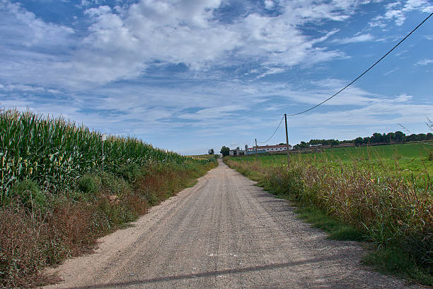 A dirt road runs through an agricultural landscape surrounded by cornfields and wild vegetation in Pla de la Font, Lleida. The blue sky with scattered clouds frames the natural scene and conveys rural serenity. Ideal for illustrating concepts of agriculture, nature, rural routes, and country life.