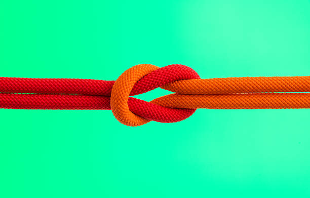 istock Ropes with reef knot on green background 2238569465