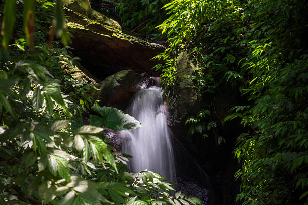 istock A beautiful waterfall hidden in the forest 2238570088