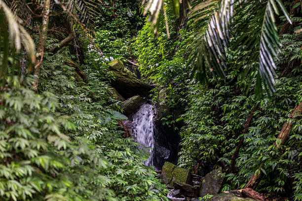 istock A beautiful waterfall hidden in the forest 2238570093