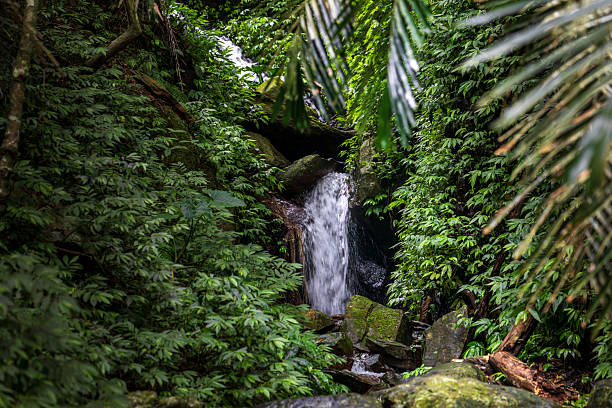 istock A beautiful waterfall hidden in the forest 2238570101