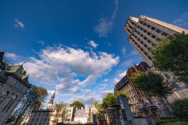 A dramatic low-angle shot of tall, historic and modern buildings reaching toward a blue sky, with bare trees framing the urban scene and conveying a sense of city scale and atmosphere.
