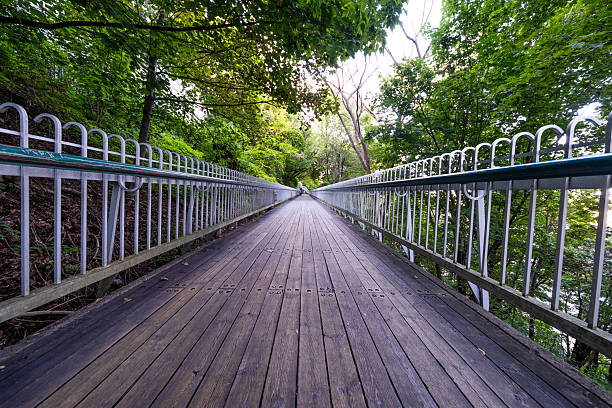 Wooden walkway traverses the steep hillside between Plains of Abraham and Chateau Frontenac Hotel.