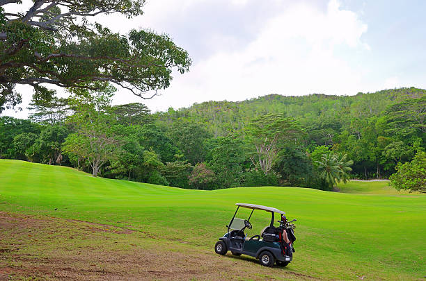 Caddy on fairway at country club golf course. lifestyle sport training golfing at golf club on summer holiday vacation.