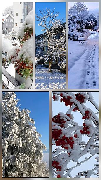 istock Gollage: powder snow and swiss alps dreams 2238572623