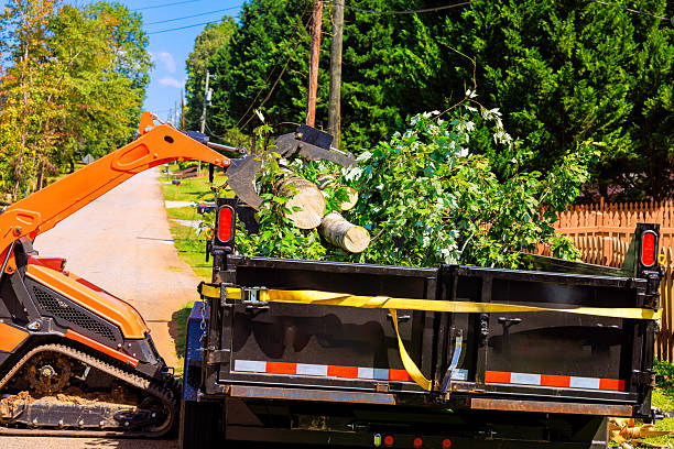 istock Heavy equipment crawler loader clears fallen branches from residential street in summer 2238573326