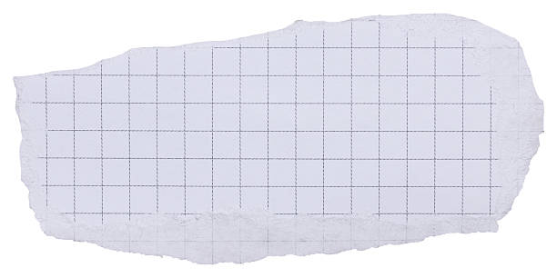 istock Piece of white ripped checkered diary page with black grid, isolated paper element with copy space 2238578588