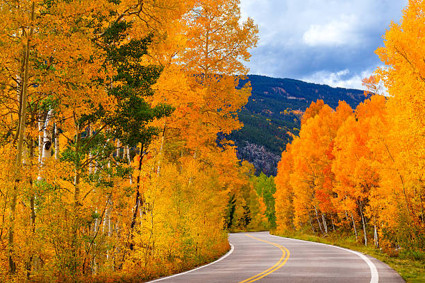 istock Independence Pass Fall Colors Road Curve 2238578743