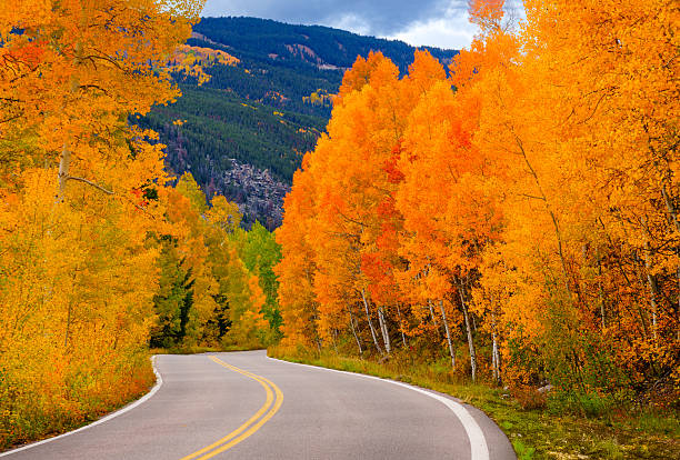 istock Independence Pass Fall Colors Road Curve 2238578850