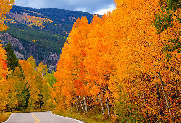 istock Independence Pass Fall Colors Road Curve 2238578923