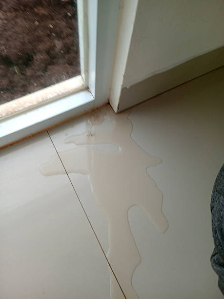 istock Spilled Liquid on Tiled Floor Near Window 2238580117