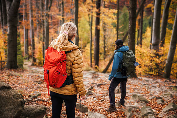 istock Autumn hiking. Two hikers is walking in forest 2238580167