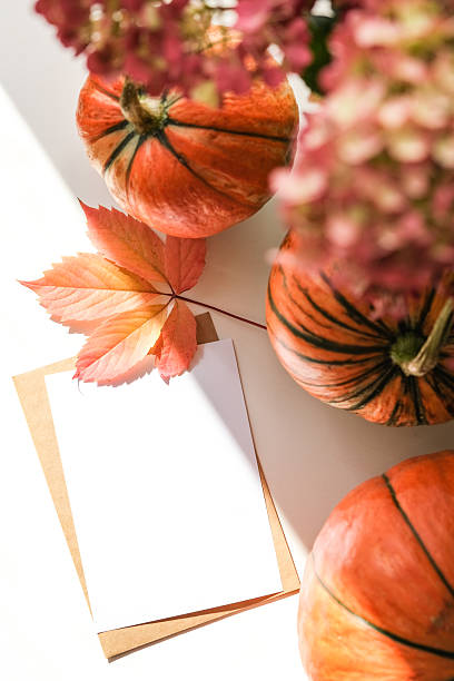 istock Blank greeting card and bright autumn leaf on white background, surrounded by pumpkins and flowers. Perfect for holidays and Thanksgiving 2238583030