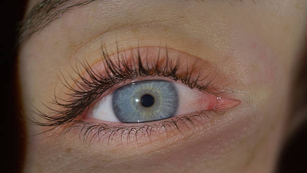 istock Close-up of blue iris eye 2238583507