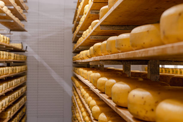 istock Wooden Shelves with Cows Milk Cheese 2238588435