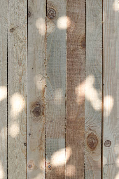 istock Vertical wooden planks with natural grain and soft sunlight shadows. Rustic timber wall texture, eco-friendly wood surface for design, carpentry, and construction. 2238589114