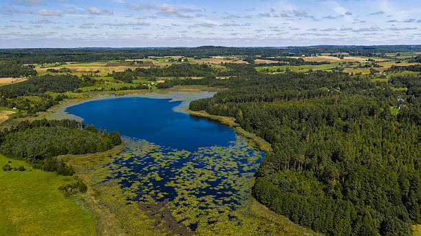 istock Lielius lake with blooming water 2238591865