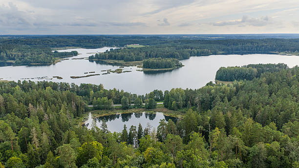 istock Aukstadvaris pond or Navos lake 2238591973