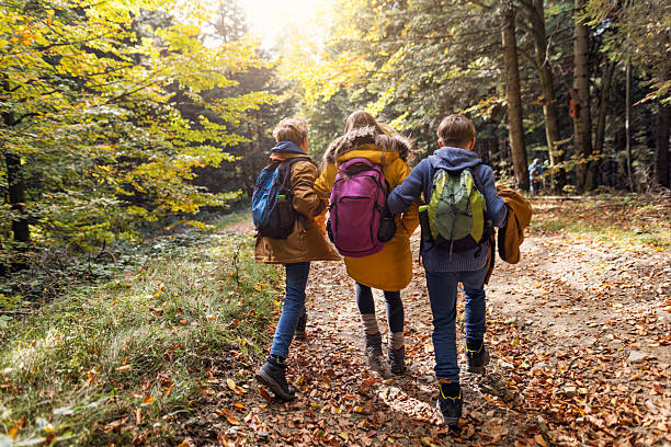 istock Three children walk forest path, autumn leaves and warm jackets in golden light 2238597914