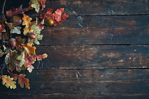 Autumn Decoration with Leafs and Pumpkins on Rustic Background