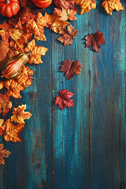 istock Autumn Decoration with Leafs and Pumpkins on Rustic Background 2238599514