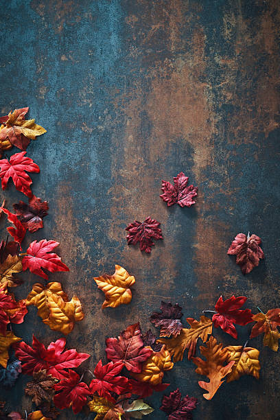 istock Autumn Decoration with Leafs and Pumpkins on Rustic Background 2238599677