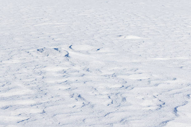 A quiet winter scene shows a snow-covered frozen sea with gentle texture and a pale blue hue, creating a calm, expansive mood suitable for winter and outdoor photography collections