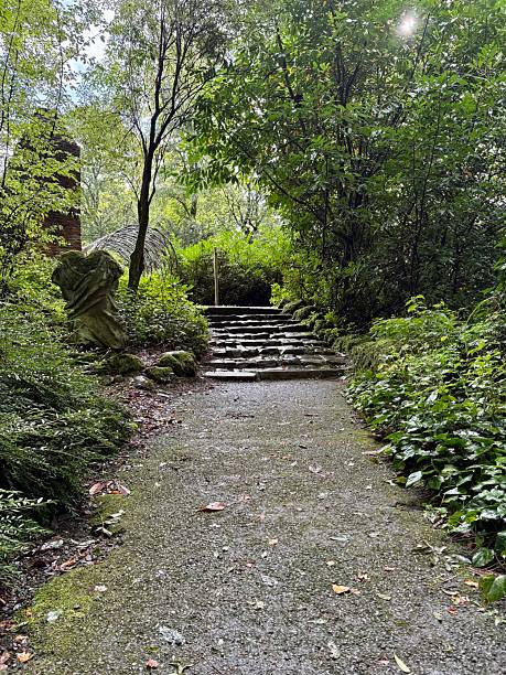 istock A peaceful stone pathway leads up mossy steps through a green, forested area. Surrounded by nature, the path is damp from recent rain, inviting a quiet walk in the tranquil woods. 2238610324