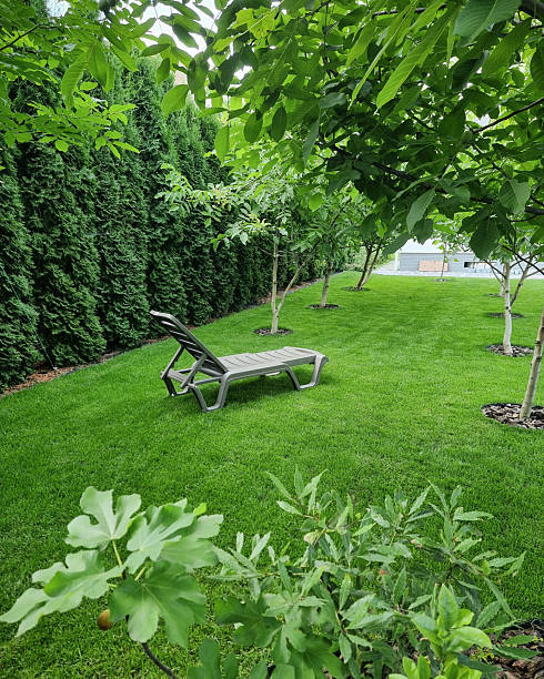 istock Deck chair in the garden. 2238614265