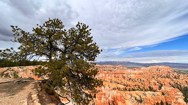 istock National Parks USA 2238620061