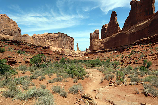 Visit Moab, Bryce Canyon, Zion and Arches National Parks in the USA.