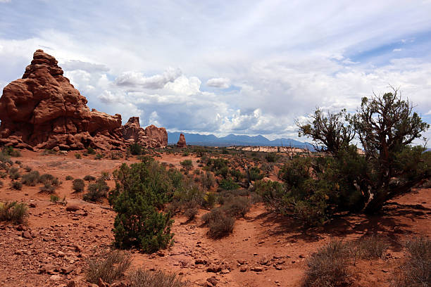 istock National Parks USA 2238621378