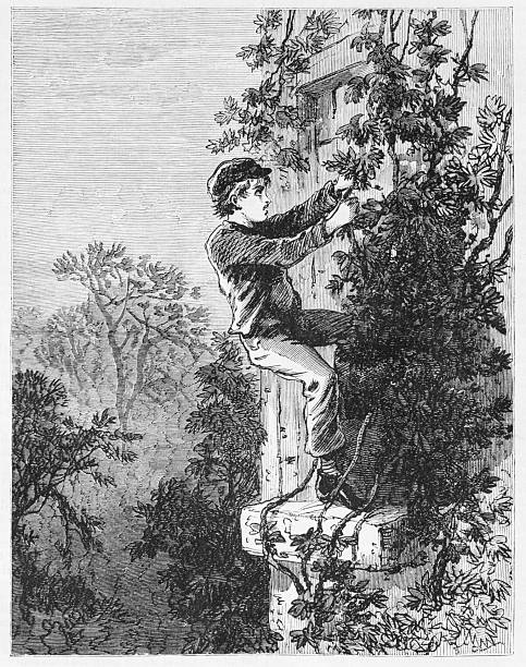 A young man climbs up an ivy-covered wall and searches at a door or window for an alarm device