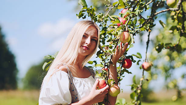 istock Blonde woman picking fresh apples from sunlit branches, experiencing bountiful summer orchard harvest with joyful enthusiasm 2238626169