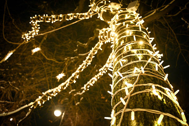 decorated for Christmas and New Year