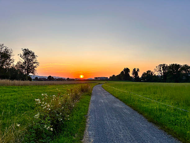 istock Sunset Over Rural Path in Sempach, Switzerland 2238629815