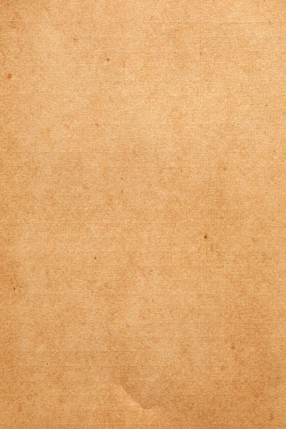 istock Old grunge vignette Kraft notebook texture with lines and halftone texture and visible crease 2238630838
