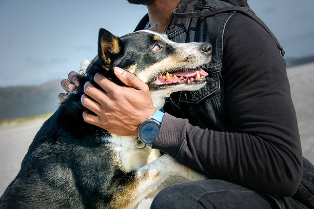 istock Everyday Happiness: A Pet's Life at Home - 21-_DSC9267 2238632407