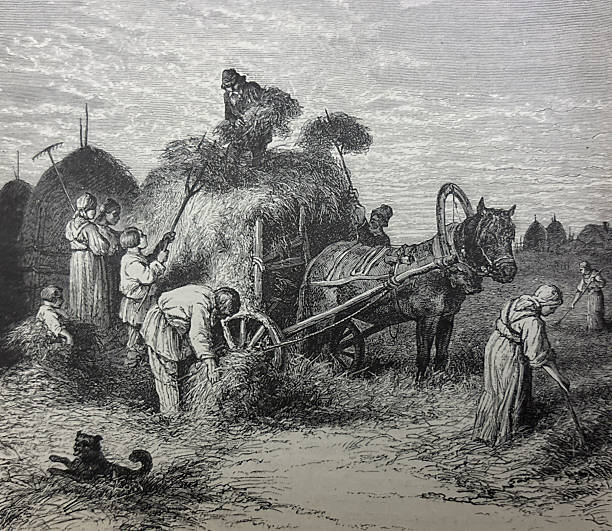 istock Antique illustration - group of people loading hay onto a cart being pulled by a horse 2238632478