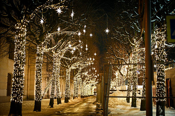 decorated for Christmas and New Year