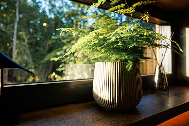 istock Ribbed Ceramic Planter with Green Plant on Sunlit Windowsill 2238634628